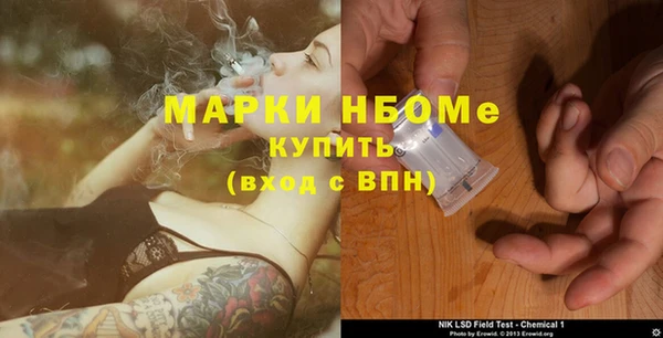 прущая мука Инсар