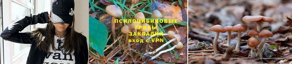 каннабис Зеленодольск