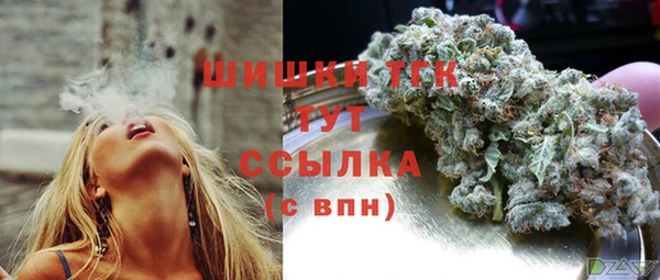 прущая мука Инсар