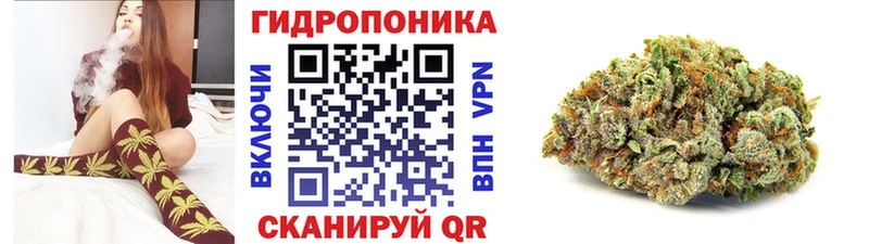 Канабис конопля  Купить где  Арамиль 